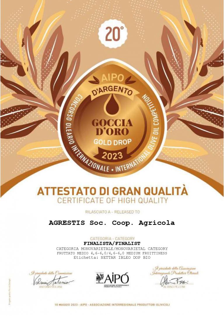 attestato finalista Nettaribleo_page-0001